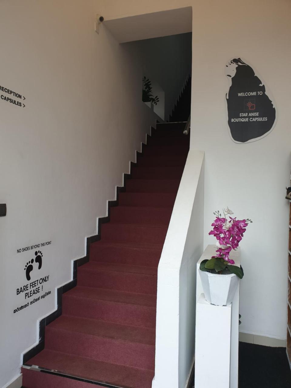Hotel Star Anise Boutique Capsules Colombo Esterno foto